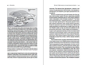 Совесть: Происхождение нравственной интуиции