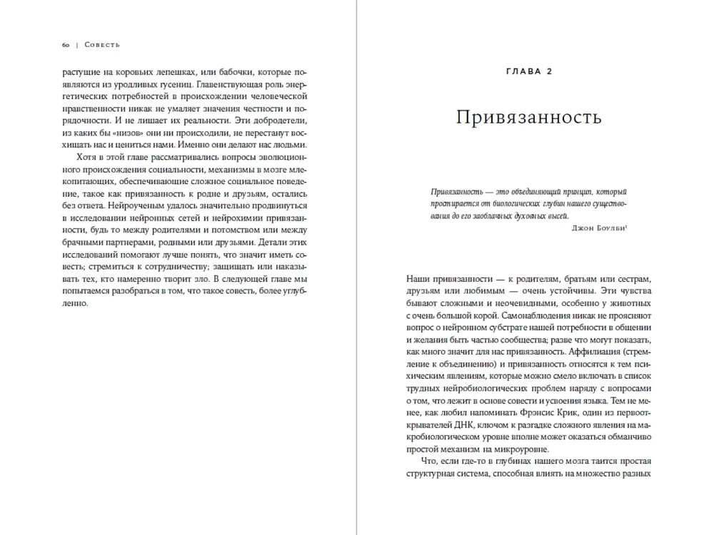 Совесть: Происхождение нравственной интуиции