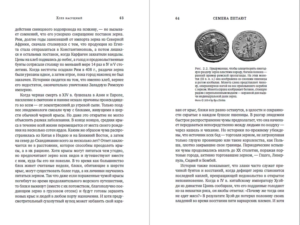 Триумф семян: Как семена покорили растительный мир и повлияли на человеческую цивилизацию