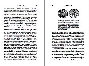Триумф семян: Как семена покорили растительный мир и повлияли на человеческую цивилизацию