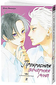 Wundbarer Abendmond. Band 2