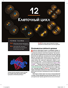 Биология Campbell (комплект из 3-х книг)