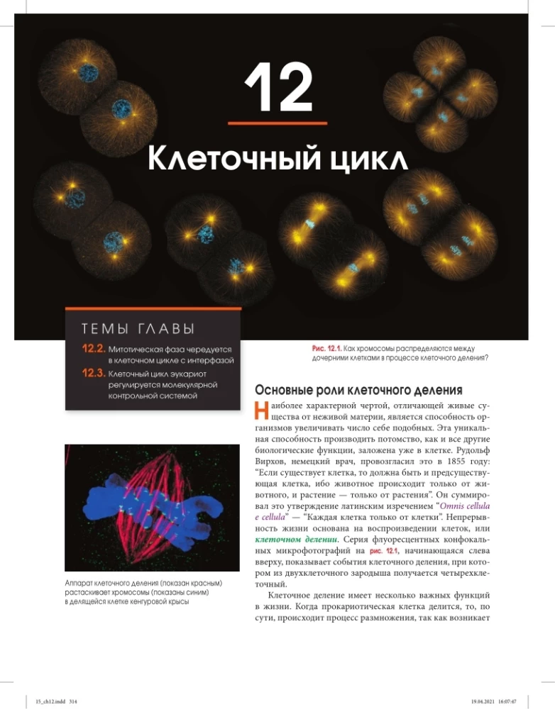Biology Campbell (set of 3 books)