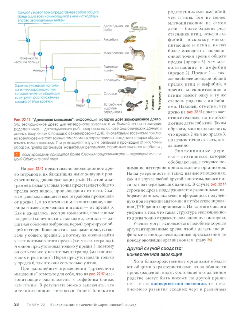 Biology Campbell (set of 3 books)