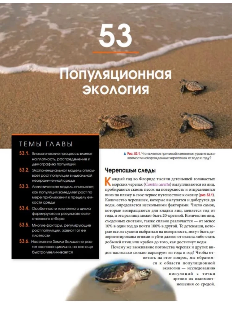 Биология Campbell (комплект из 3-х книг)