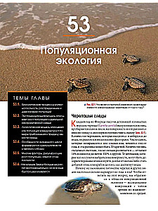 Биология Campbell (комплект из 3-х книг)