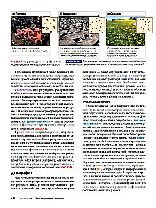 Biology Campbell (set of 3 books)