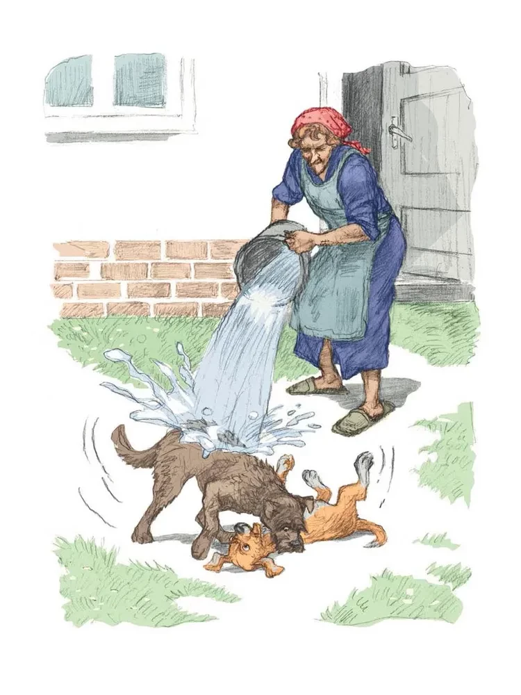 Tuzik, Ryzhy, and Guests