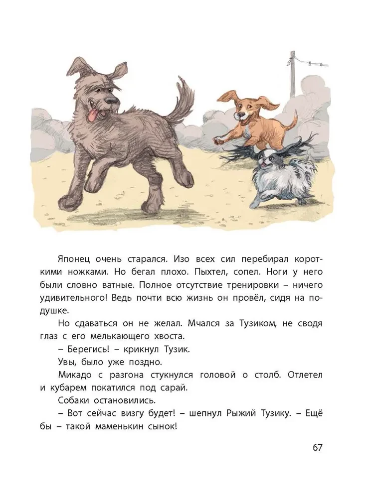 Tuzik, Ryzhy, and Guests