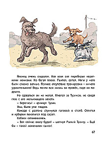 Tuzik, Ryzhy, and Guests