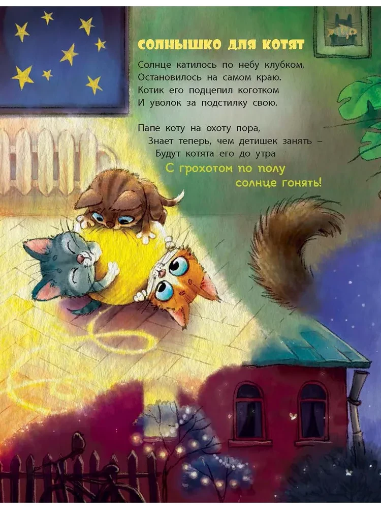 In diesem Buch leben Katzen