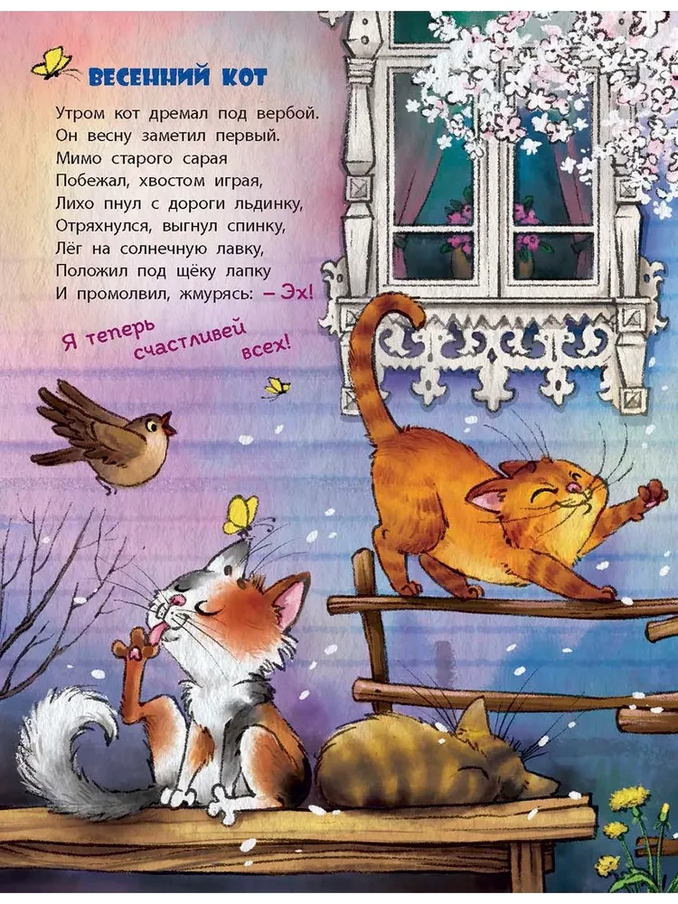 In diesem Buch leben Katzen