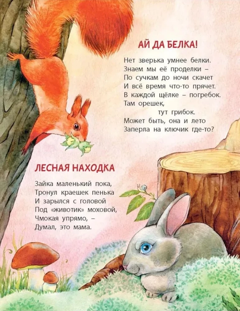 Die beste Zeit im Jahr