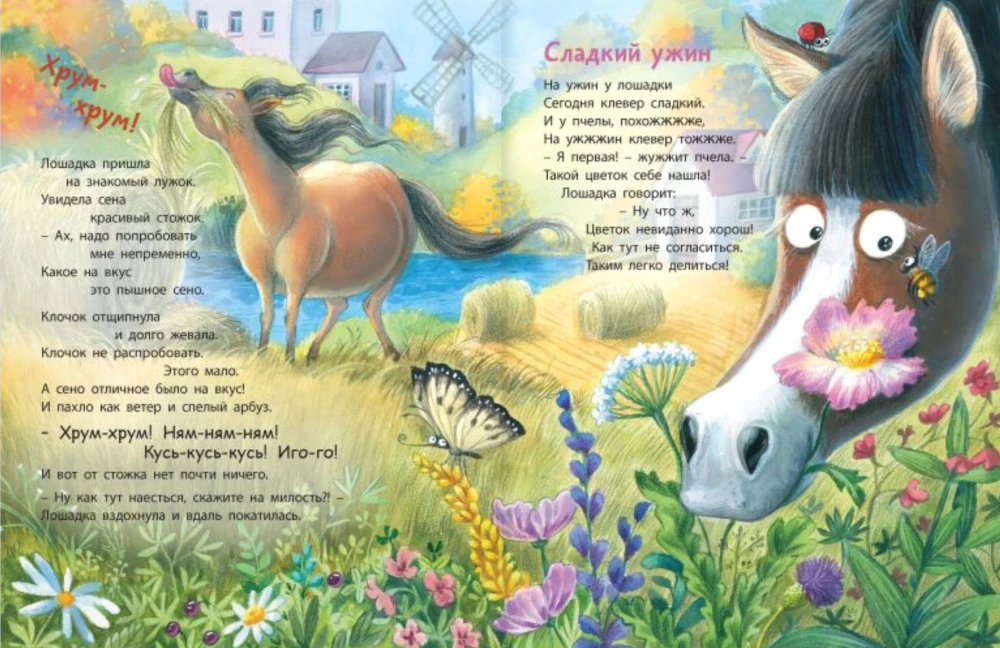 Freunde dich mit mir an, kleines Pferd!