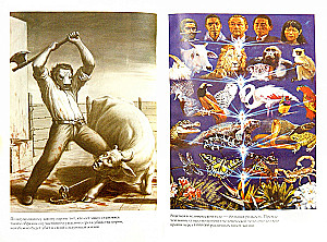 Journey Within Yourself