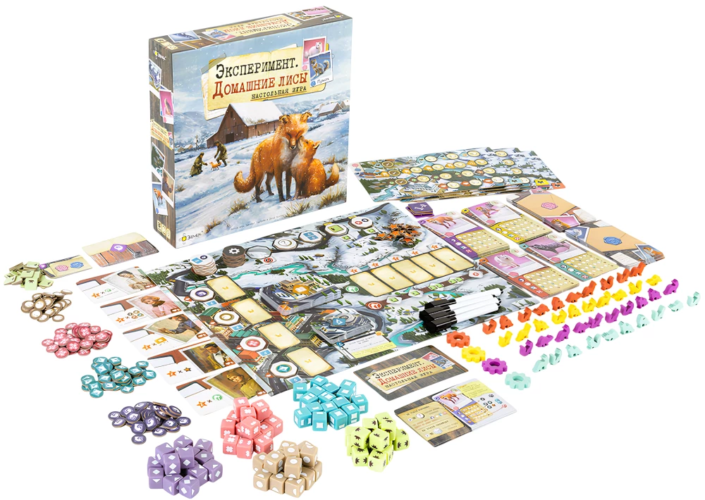 Lauamäng - Eksperiment. Kodufokid