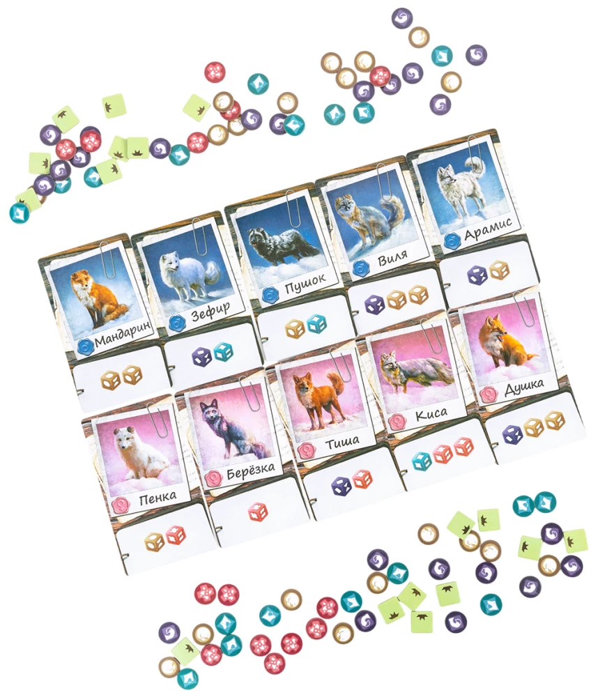 Lauamäng - Eksperiment. Kodufokid