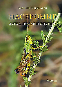 Insects of Meadows, Fields, and Forest Edges