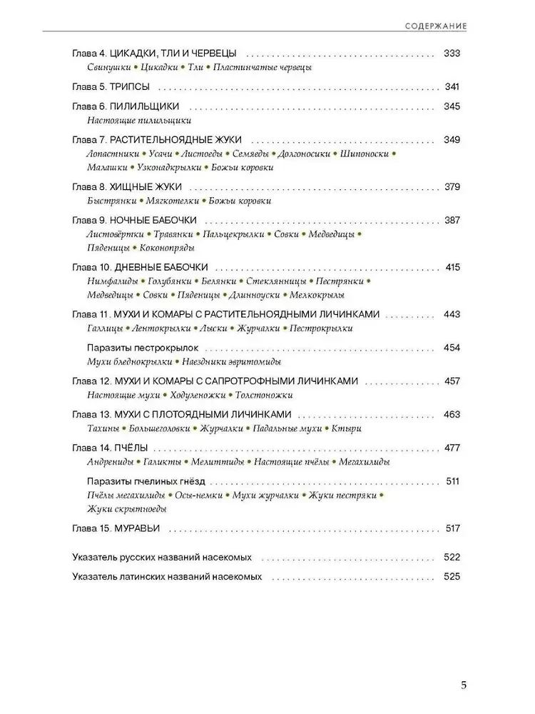 Insects of Meadows, Fields, and Forest Edges