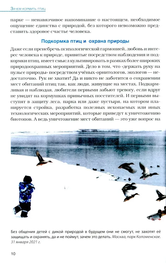 Birds at Feeders. Feeding and Attracting