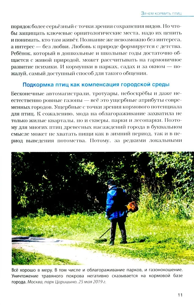 Birds at Feeders. Feeding and Attracting