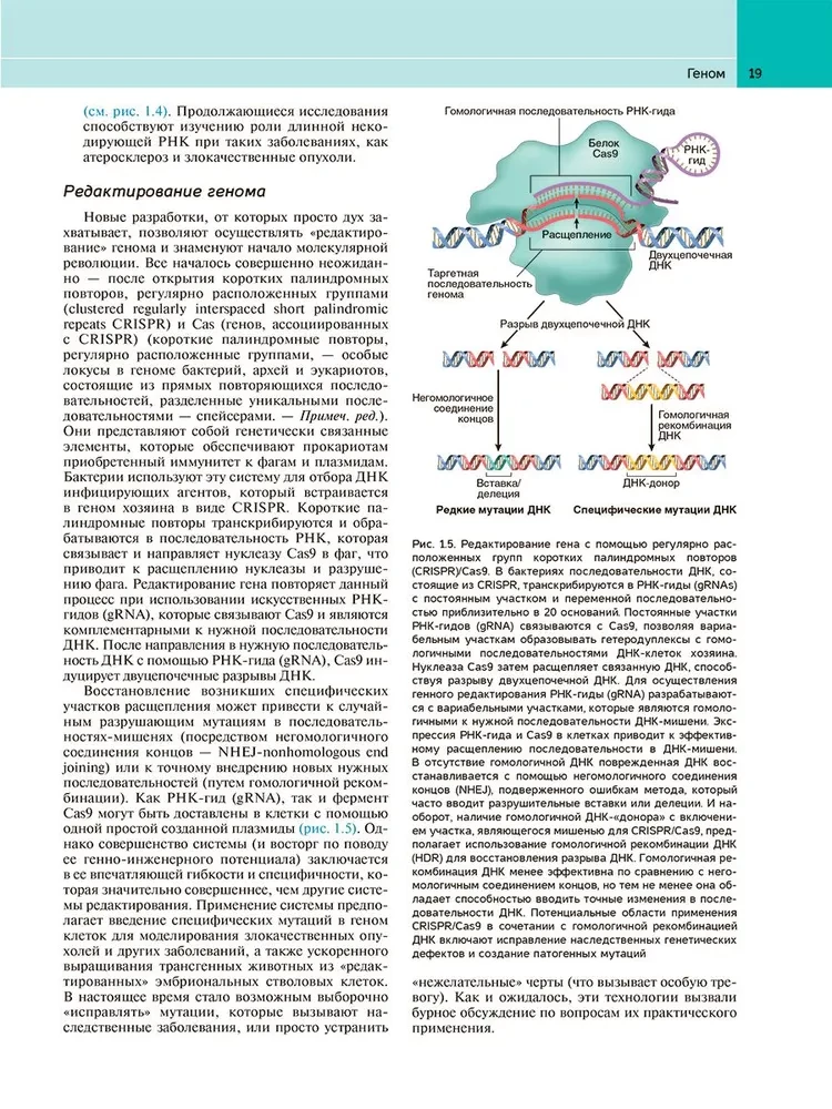 Robbins Pathological Anatomy: Textbook