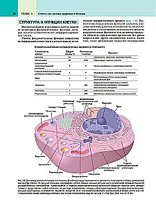 Robbins Pathological Anatomy: Textbook