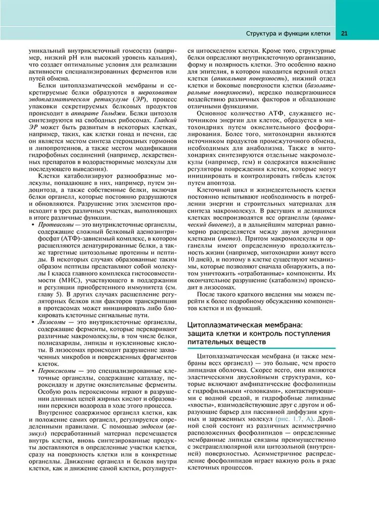 Robbins Pathological Anatomy: Textbook