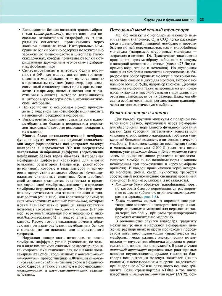 Robbins Pathological Anatomy: Textbook