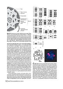 Farbatlas der klinischen Hämatologie: Molekulare und zelluläre Grundlagen von Krankheiten: Anleitung