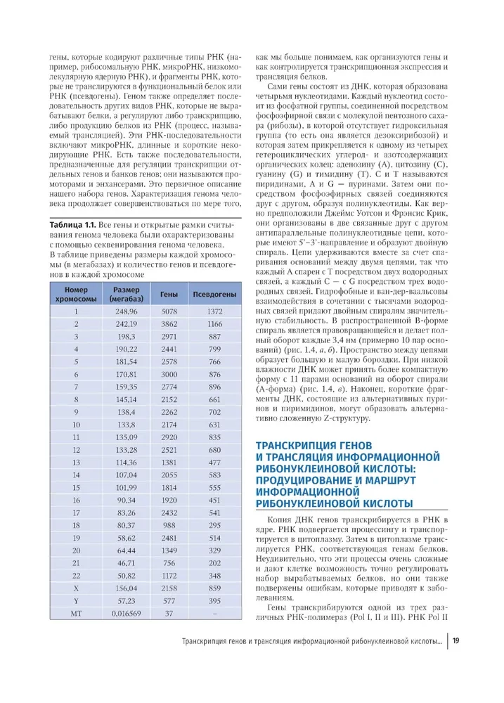 Farbatlas der klinischen Hämatologie: Molekulare und zelluläre Grundlagen von Krankheiten: Anleitung