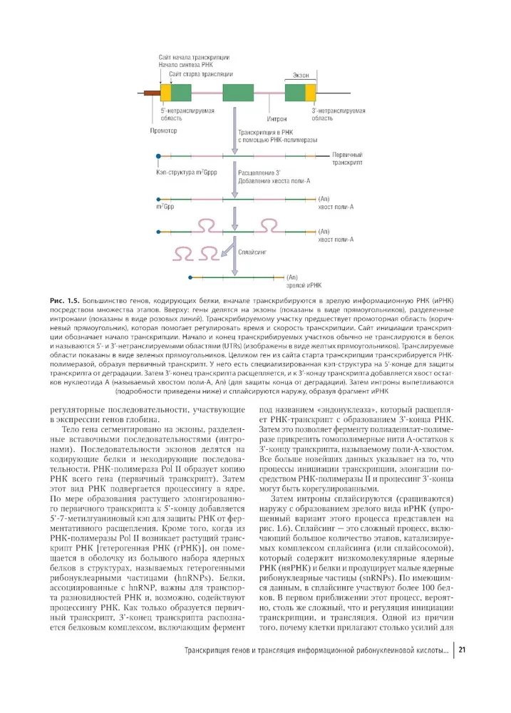 Farbatlas der klinischen Hämatologie: Molekulare und zelluläre Grundlagen von Krankheiten: Anleitung