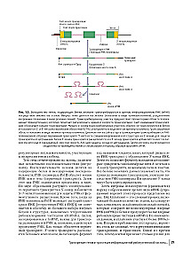 Farbatlas der klinischen Hämatologie: Molekulare und zelluläre Grundlagen von Krankheiten: Anleitung
