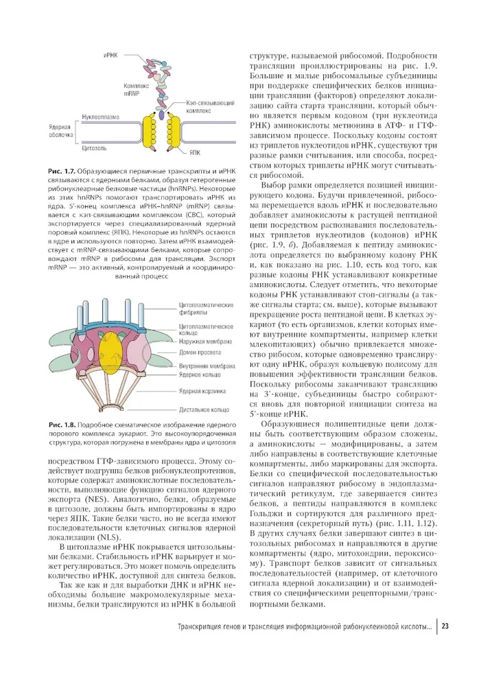 Farbatlas der klinischen Hämatologie: Molekulare und zelluläre Grundlagen von Krankheiten: Anleitung