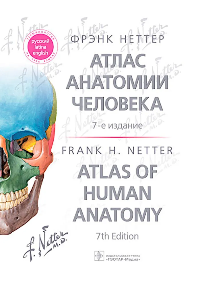 Atlas anatomii człowieka