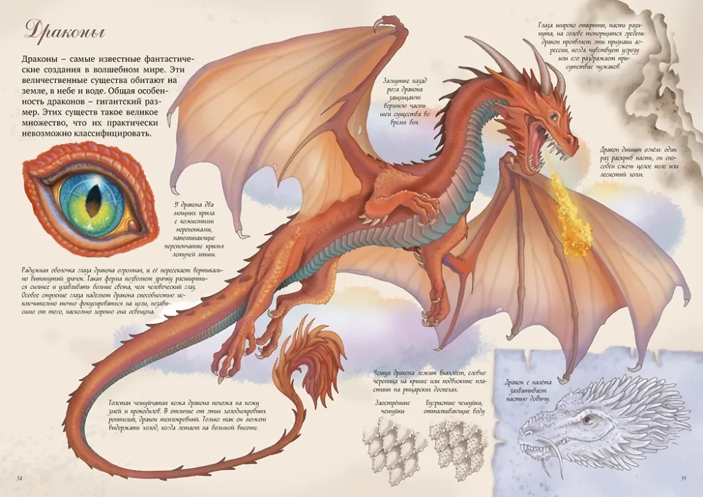 Magical Creatures. Encyclopedia