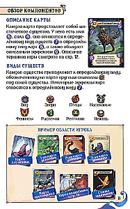 Настольная игра - Волшебники лесных чащоб