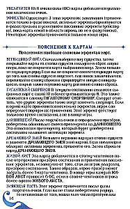 Настольная игра - Волшебники лесных чащоб