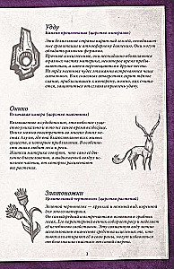 Настольная игра - Дальние дали