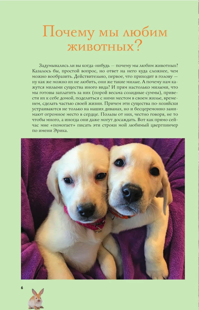 Pets. A Popular Illustrated Guide