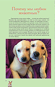 Pets. A Popular Illustrated Guide