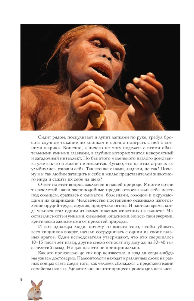 Pets. A Popular Illustrated Guide