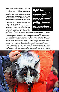 Pets. A Popular Illustrated Guide