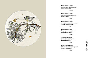 The World in a Drop (set of 2 books)