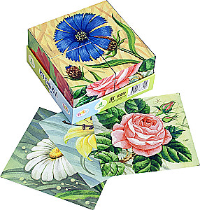 4 кубика Baby Step Цветы