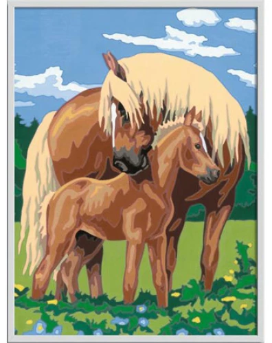 Картина по номерам 31X21 cm - Pferde