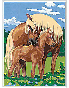 Картина по номерам 31X21 cm - Pferde