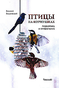 Birds at Feeders. Feeding and Attracting