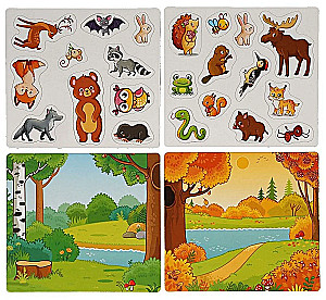 Educational Game - Forest Animals. On Magnets