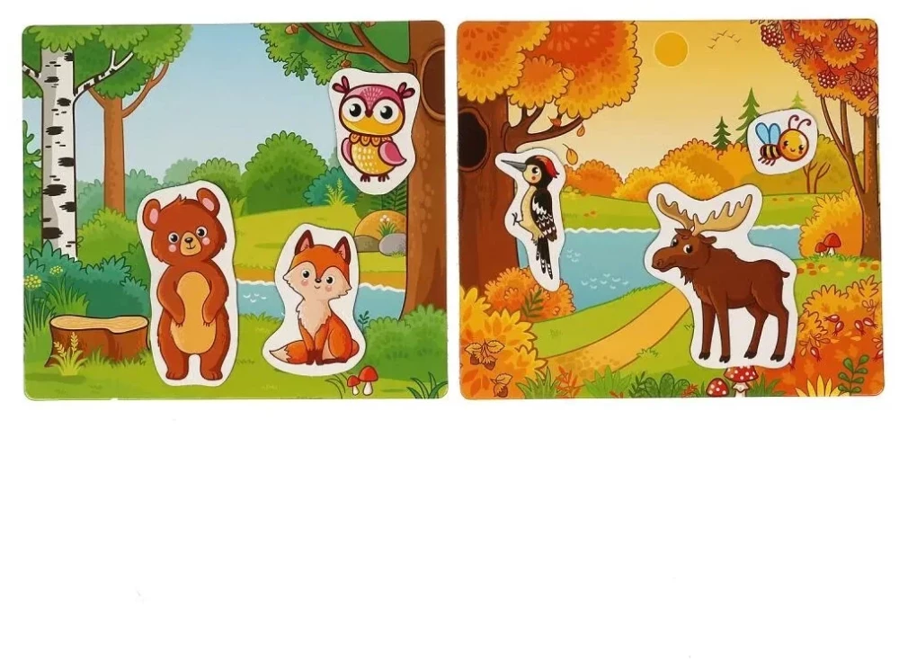 Educational Game - Forest Animals. On Magnets